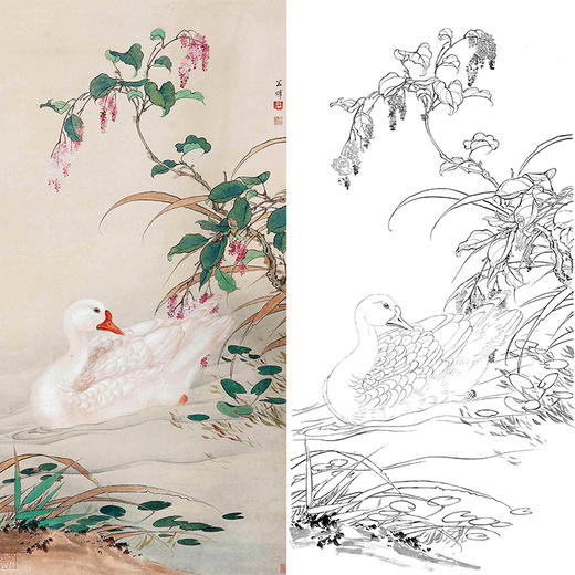 田世光工笔竖幅花鸟白描底稿sg32