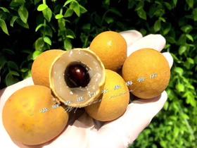 泰国进口树熟去杆金标龙眼（一盒1kg）