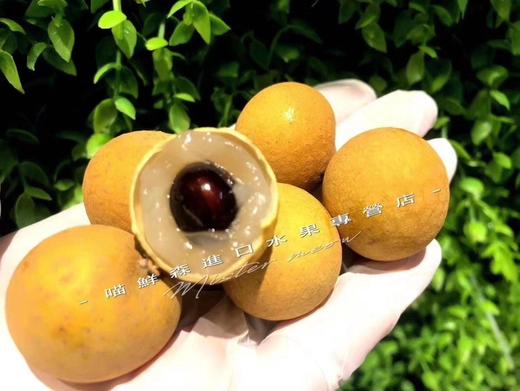 泰国进口树熟去杆金标龙眼（一盒1kg） 商品图0