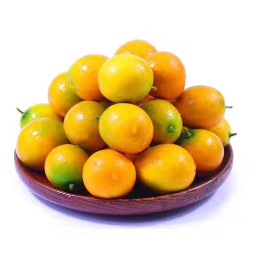 广西融安金桔5斤 新鲜当季水果脆滑皮小金桔蜜橘子应批发特产包邮