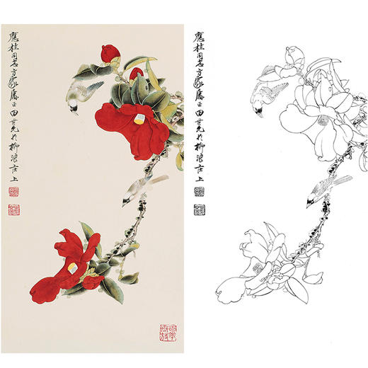 田世光工笔竖幅花鸟白描底稿sg26