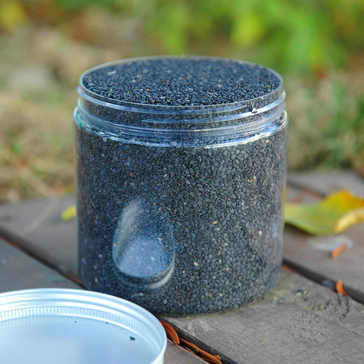 自留种黑芝麻（500g）~0农残 商品图1