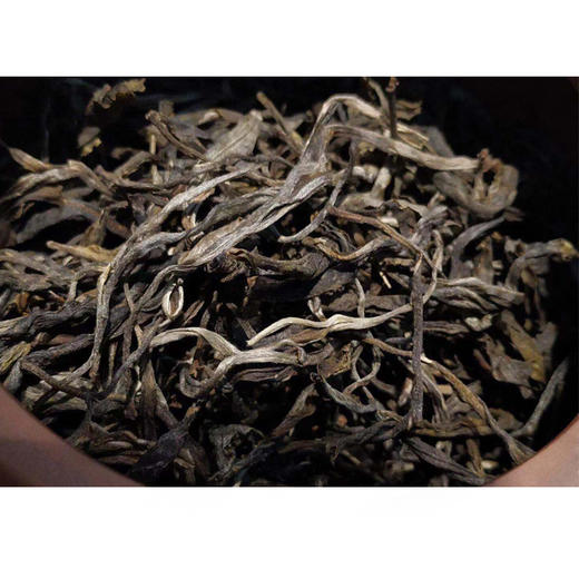 【天门山】2019易武天门山单株高杆古树，比肩薄荷塘 商品图3