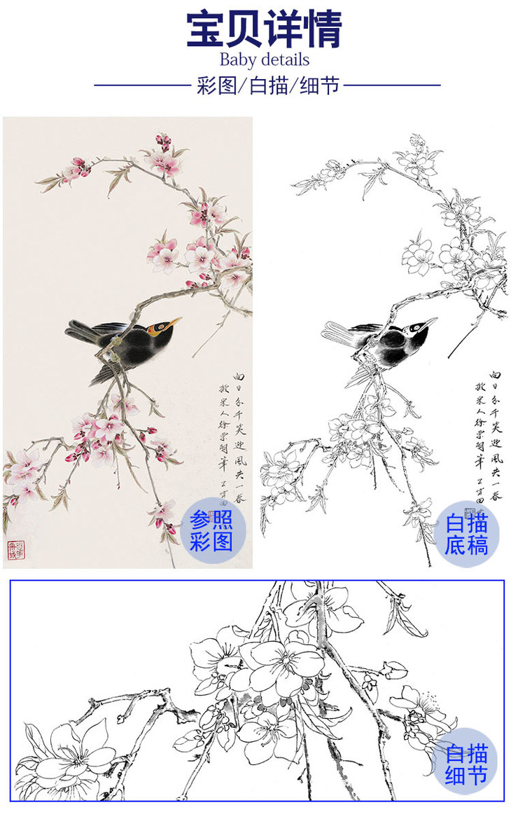 田世光工笔竖幅花鸟白描底稿sg28