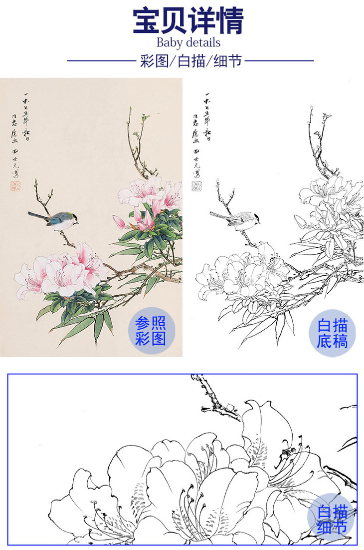 田世光工笔竖幅花鸟白描底稿sg25