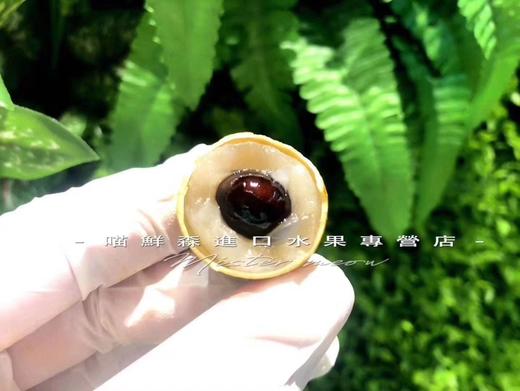 泰国进口树熟去杆金标龙眼（一盒1kg） 商品图4