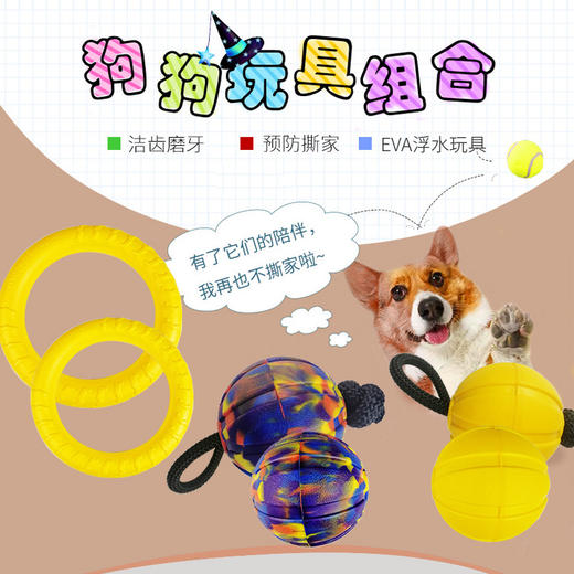 莱克EVA宠物玩具  狗狗耐啃咬玩具球马犬边牧泰迪训狗磨牙球互动练犬弹力球 商品图0