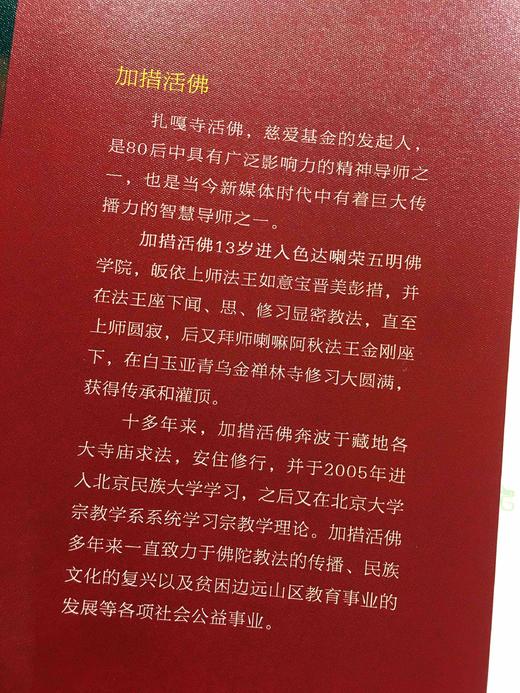 加措活佛的书全套3册】一切都是最好的安排 西藏生死书索甲仁波切荐 佛学正能量人生宗教哲学正版书籍 商品图4