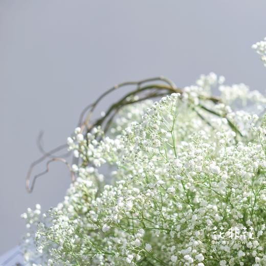 《如爱所愿》熊抱满天星花束 商品图1