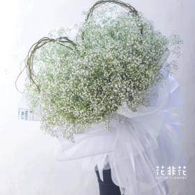 《如爱所愿》熊抱满天星花束