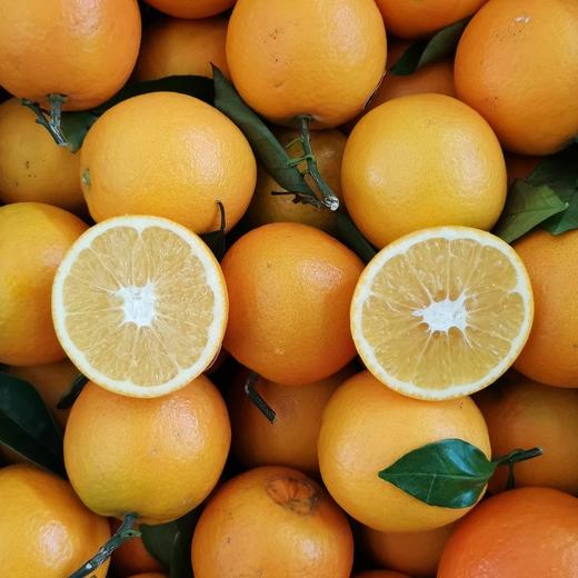 江西赣南脐橙大果