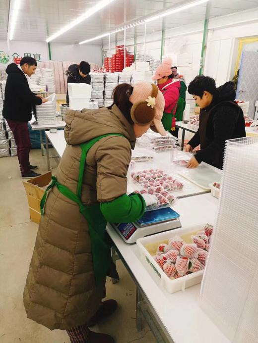 丹东九九草莓 商品图1