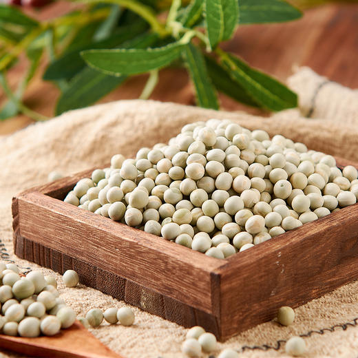 屈姑青豆450G袋装 商品图3