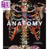 【中商原版】解剖学：探索人体 英文原版 Anatomy: Exploring the Human Body 商品缩略图7