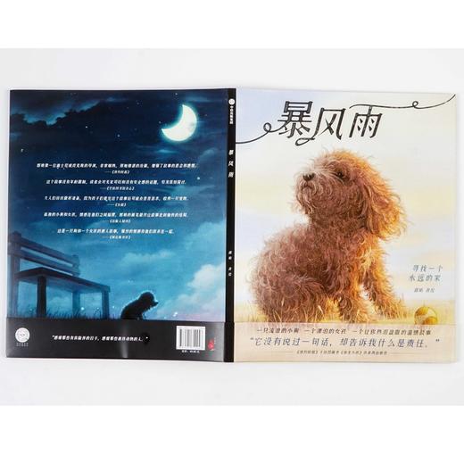 暴风雨 寻找一个永远的家 商品图4