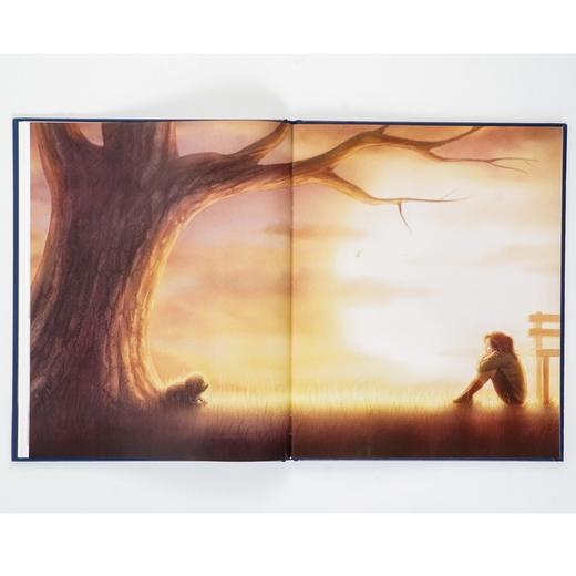 暴风雨 寻找一个永远的家 商品图3