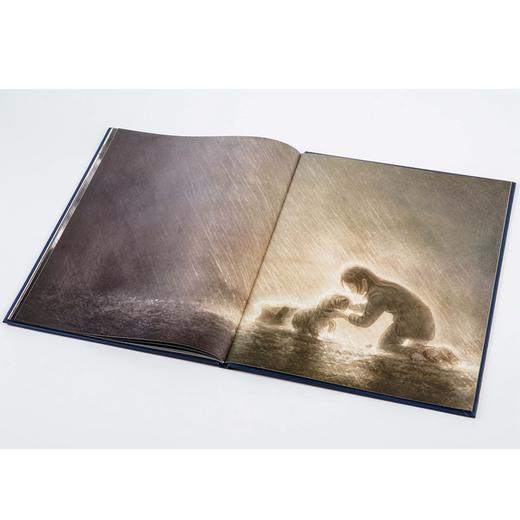 暴风雨 寻找一个永远的家 商品图1