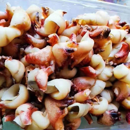 南海特色螺西沙红口螺肉质鲜香口感q弹爽脆下酒配饭极佳净肉一盒5两48