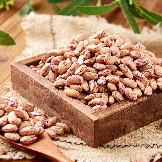 屈姑奶花豆450G袋装 商品图3