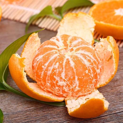 秒杀【涌泉蜜桔】天下一奇，吃橘带皮，果皮细薄，肉质脆嫩，汁多化渣 商品图5