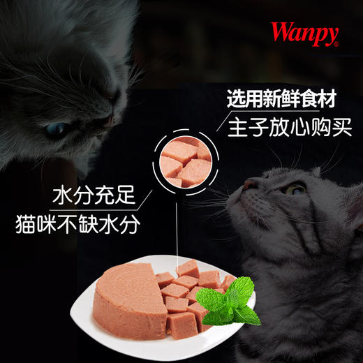 顽皮慕斯猫罐头95g*12罐 商品图2