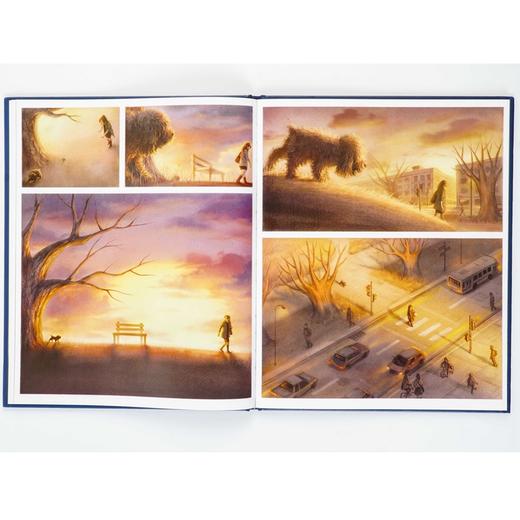 暴风雨 寻找一个永远的家 商品图2