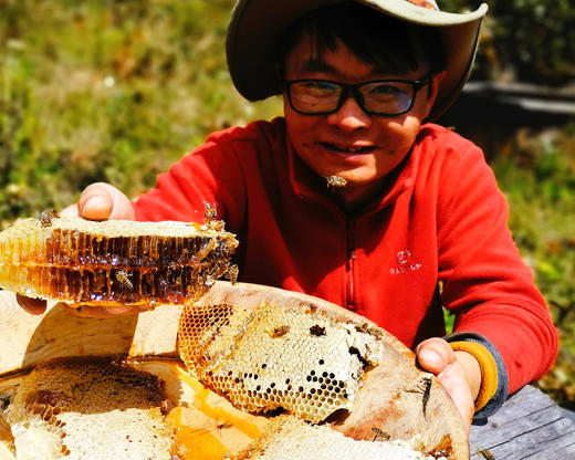 雪山野生蜂蜜 商品图6