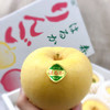 全球最好吃十大苹果之一～日本金星苹果吃的是苹果却有香蕉牛奶的香滑好奇妙的体验有木有！推荐理由：有淡淡的香蕉牛奶味道色泽温润如淡奶油果肉酥脆细嫩，甜嫩多汁…… 商品缩略图4
