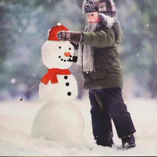 TS 雪人装饰套装TSFC6000362 商品图2