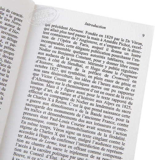【中商原版】【法国法文版】雨果 巴黎圣母院 法文原版 Notre-Dame de Paris Victor Hugo 法文文学 法国名著 商品图3