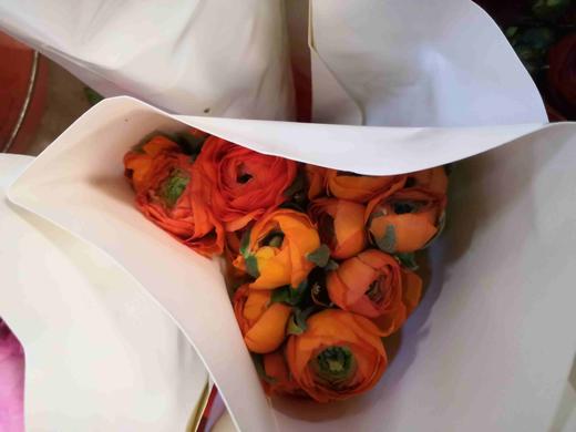 配花-洋牡丹-橙色-20枝 商品图3