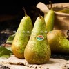 比利时进口长啤梨（几乎无核，辅食首选） 商品缩略图0
