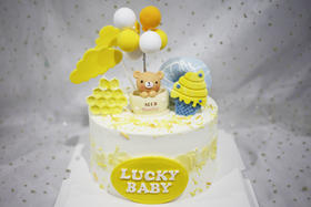 男孩款  茶杯小熊  黄色系