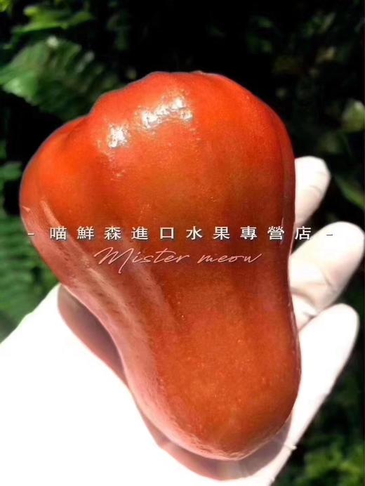 🛵海南黑金刚莲雾（补水神器） 商品图2