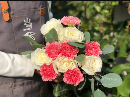 【米兰的小铁匠】白玫瑰5 粉康6 尤加利大圆叶1 商品图4