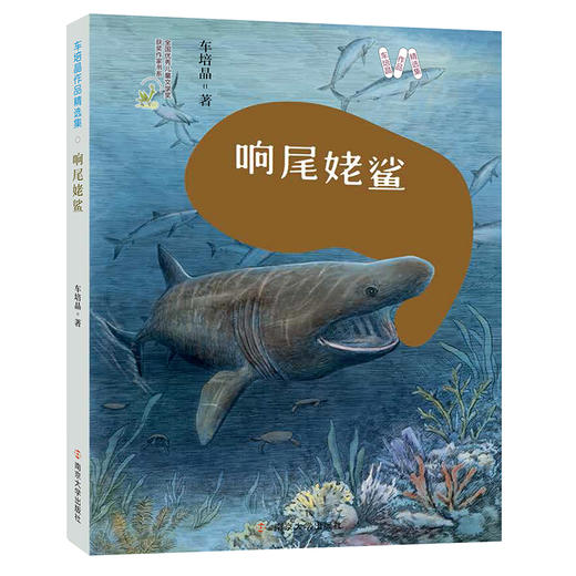 响尾姥鲨 商品图0