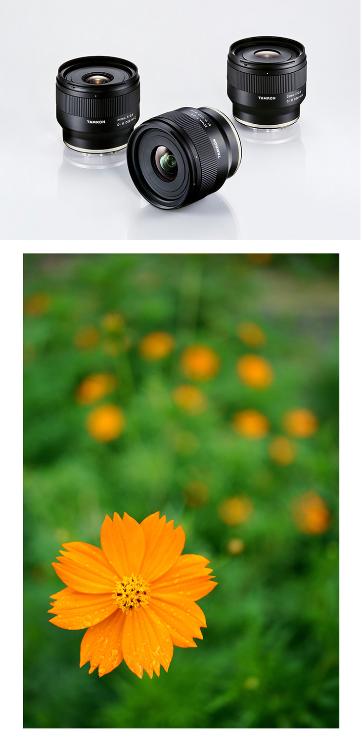 腾龙35mmf28diⅢosd索尼微单e卡口定焦镜头12微距f053