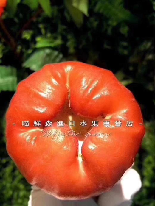 🛵海南黑金刚莲雾（补水神器） 商品图1