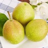 【顺丰快递】新疆库尔勒香梨 甘露香梨 现摘现发 皮薄肉细无渣 整箱发货 商品缩略图3