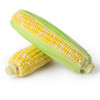 水果玉米 甜玉米棒 生鲜即食 速食早餐 代餐 现摘非转基因 包邮 商品缩略图1