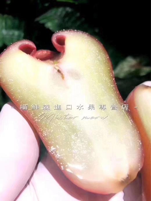 🛵海南黑金刚莲雾（补水神器） 商品图4