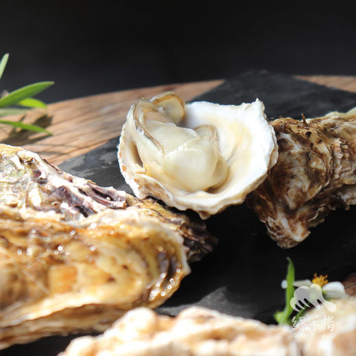 生态深海生蚝 | 合作生产 * Eco-Deep sea oyster | Coperation 商品图0