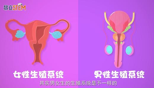 第10集 喝下去的水去哪儿了？ 商品图0