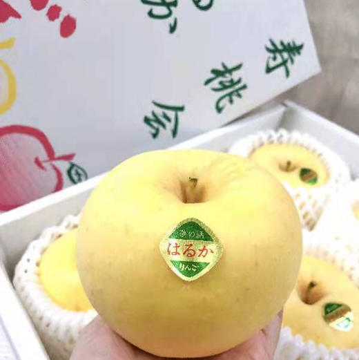 全球最好吃十大苹果之一～日本金星苹果吃的是苹果却有香蕉牛奶的香滑好奇妙的体验有木有！推荐理由：有淡淡的香蕉牛奶味道色泽温润如淡奶油果肉酥脆细嫩，甜嫩多汁…… 商品图5