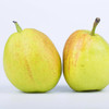 【顺丰快递】新疆库尔勒香梨 甘露香梨 现摘现发 皮薄肉细无渣 整箱发货 商品缩略图11