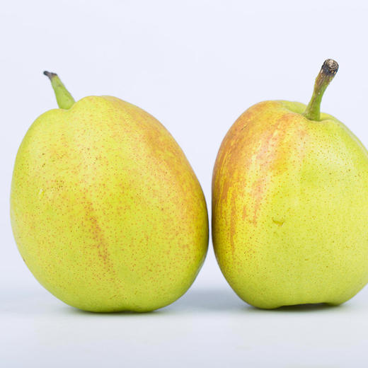 【顺丰快递】新疆库尔勒香梨 甘露香梨 现摘现发 皮薄肉细无渣 整箱发货 商品图11