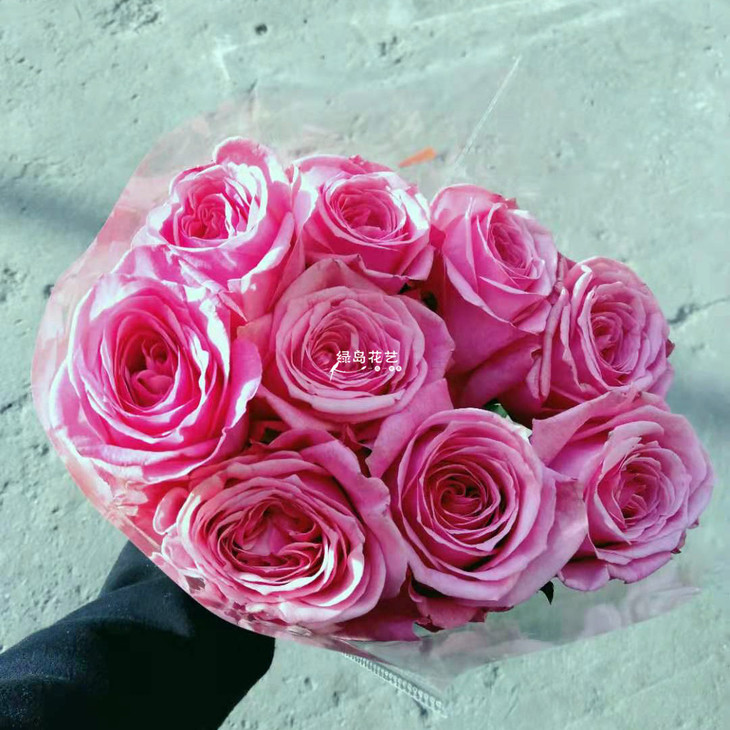昆明直采粉之妍玫瑰10枝