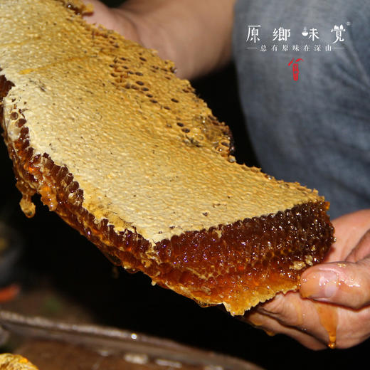 生态蜂蜜核桃仁【成都仓库-顺丰快递】 | 100g/袋，来自陕西汉中，生产者：刘蜜书【合作生产，公平贸易】 商品图6