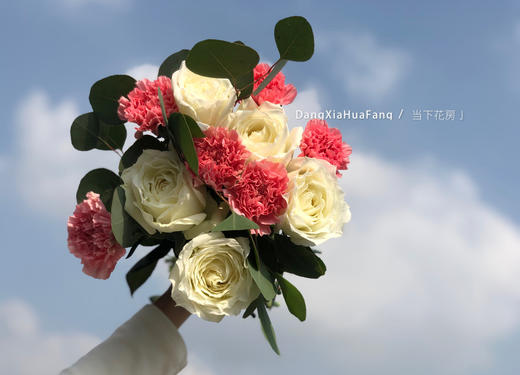 【米兰的小铁匠】白玫瑰5 粉康6 尤加利大圆叶1 商品图2