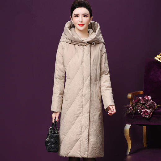 WXY-T260冬季新款连帽白鹅绒羽绒服 商品图1